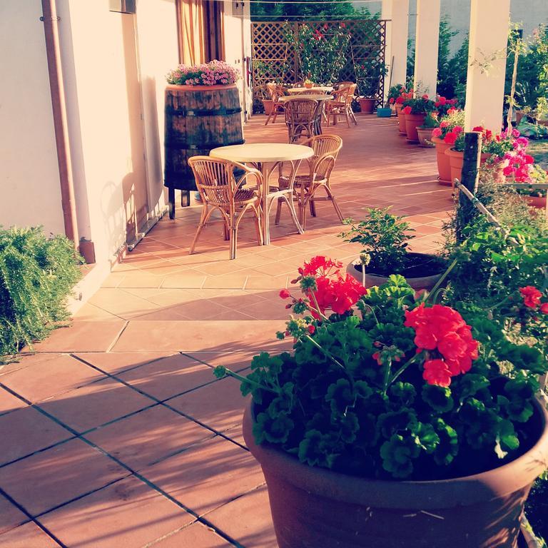 B&B Cilentum Agropoli Extérieur photo